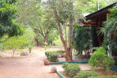 Zahrada ubytování Kings Rest Sigiriya