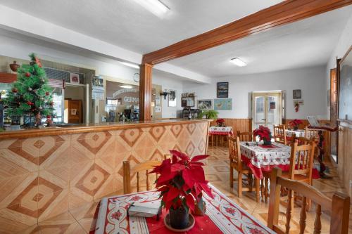 a dining room with a christmas tree in a restaurant at Hotel Germán in Vilaflor