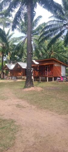 a house with a palm tree in front of it at Som PalmGarden in Ko Lanta