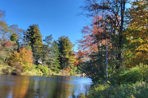 a river in the middle of a forest with trees at Serenity On The Lehigh River in Thornhurst