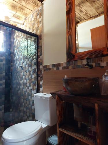a bathroom with a toilet and a sink and a mirror at Chalé bom jardim in Ibicoara