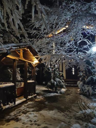 a tree covered in snow in front of a building at Guest House Plai in Yaremche