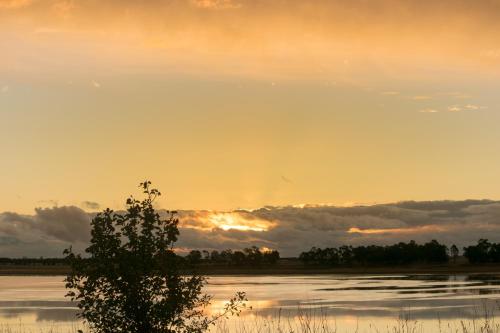 a sunset over a lake with a tree in the foreground at Lake Bolac Motel in Lake Bolac