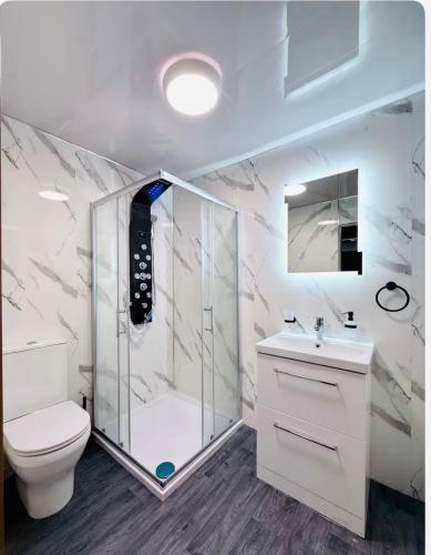 a bathroom with a shower and a toilet and a sink at Birmingham City Centre- 9 bed house with free parking in Birmingham