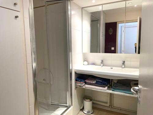 une salle de bain avec une douche, un lavabo et un miroir dans l'établissement La Grande Motte: Appart 2 pers, Clim, Parking - FR-1-790-33, à La Grande Motte
