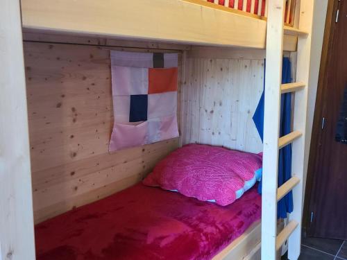 Ce lit superposé se trouve dans un dortoir en bois. dans l'établissement Studio cabine au pied des pistes – 4 pers, balcon - FR-1-689-150, à Villard-de-Lans
