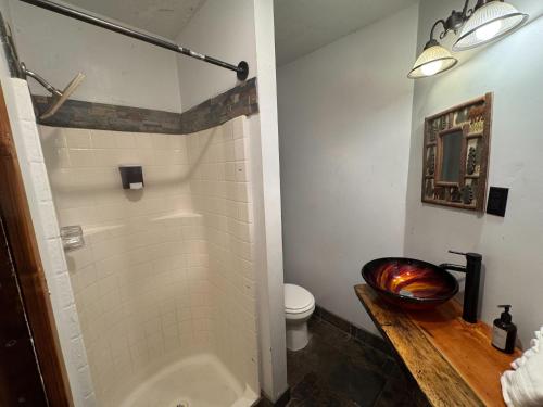 a bathroom with a shower and a toilet and a sink at Three Pines Cabins in Big Bear Lake
