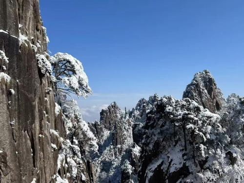 a mountain covered in snow and trees at Yunshan Villa in Huangshan Scenic Area