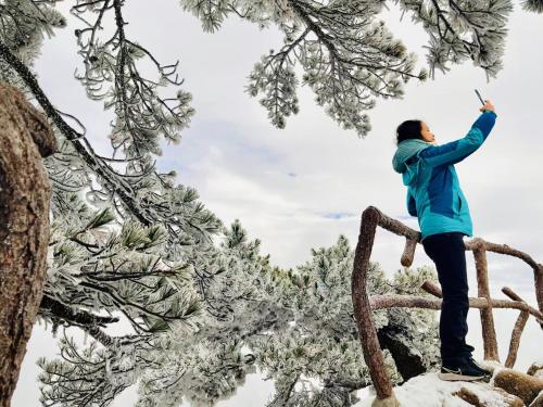 a woman in a blue jacket standing on a tree branch at Yunshan Villa in Huangshan Scenic Area