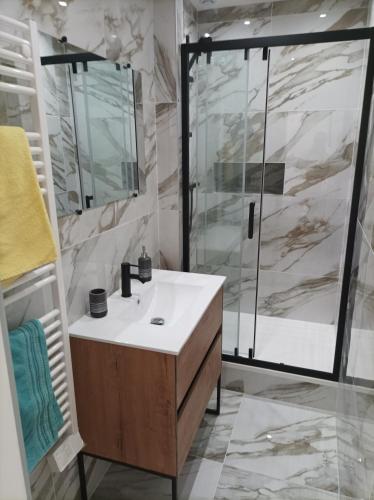 une salle de bain avec un lavabo et une douche dans l'établissement T2 viel Antibes hyper centre, à Antibes