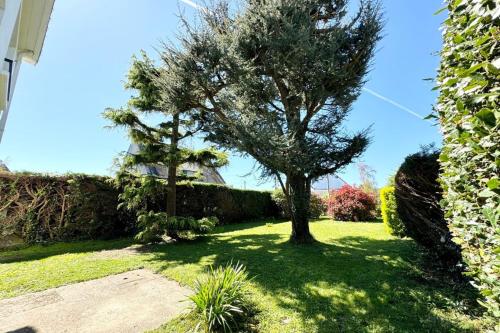 ラルモール・プラージュにあるCharmante maison de standing 1 km des plagesの庭中の木