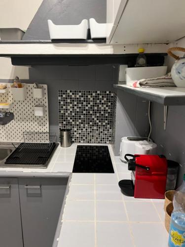 une cuisine avec un évier et un plan de travail dans l'établissement Montmartre joli 2 pièces au pied du Sacré Coeur, à Paris