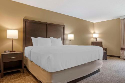 Кровать или кровати в номере Comfort Inn Opelika - Auburn