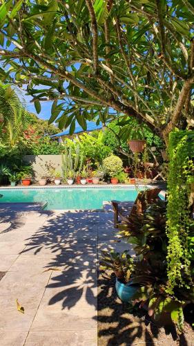 a swimming pool with potted plants and a tree at Vaea Hotel Samoa in Apia