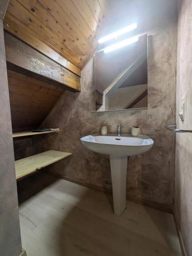une salle de bain avec un lavabo et un miroir dans l'établissement Ville 6p House Garden Calme Vue Montagne, à Viry