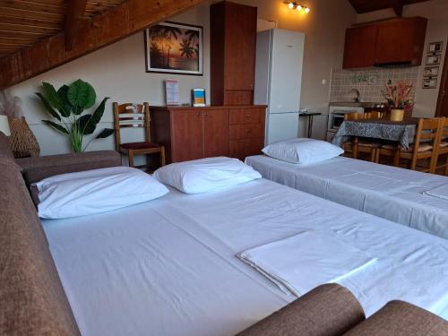 two beds in a room with a kitchen at Belleza Villa in Lixouri
