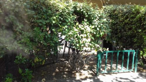 Taman di luar Studio Jardinet