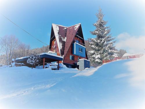 a building in the snow with a tree at Vila Anna Wellness in Halenkov