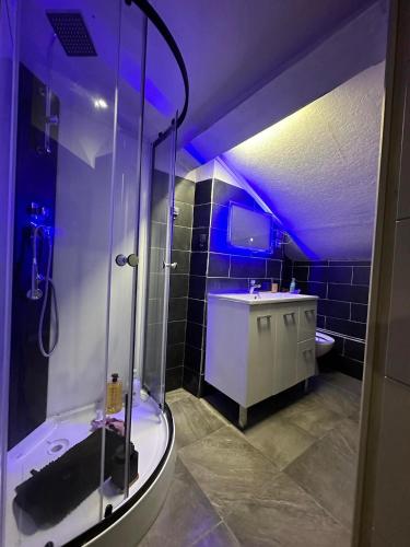 une salle de bain avec douche et lavabo dans l'établissement Villeurbanne FLACHET, à Villeurbanne