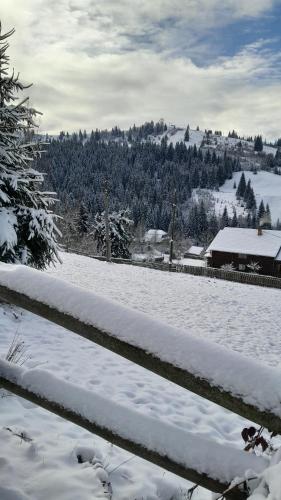 a fence covered in snow with a mountain in the background at Villa Filiak in Yablunytsya