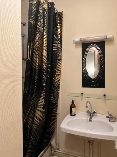 une salle de bain avec un lavabo et un rideau de douche dans l'établissement Villeurbanne parc tête d or, à Villeurbanne