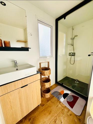 une salle de bain avec une douche, un lavabo et un miroir dans l'établissement Le Nid des Viviers - Bungalow au bord de l'eau, à Lège-Cap-Ferret