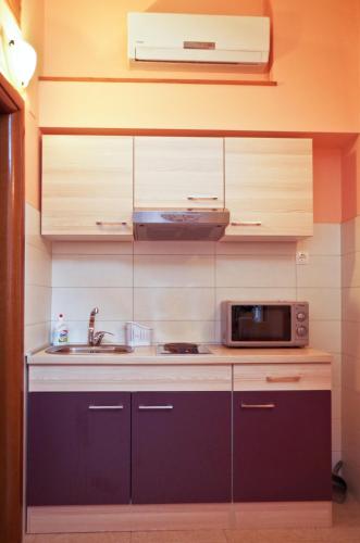 a kitchen with a sink and a microwave at Garden House in Matulji