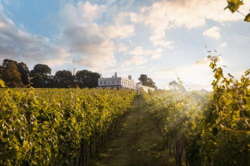 a field of corn with a white house in the background at Lympstone Manor Hotel Restaurant & Vineyard - Relais & Chateaux in Exmouth