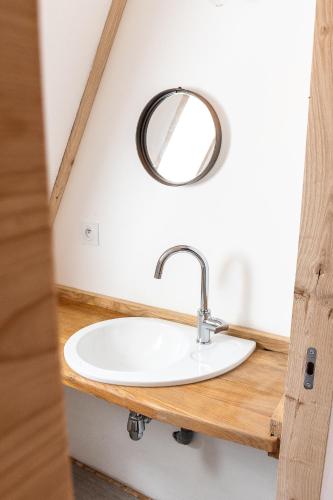 une salle de bain avec un lavabo et un miroir dans l'établissement le Shed - gîtes de Banne 70, à Sornay