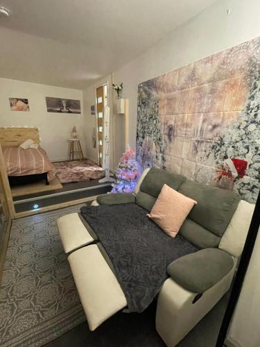 un salon avec un canapé et un lit dans l'établissement La Romantica by La Felicità, à Besançon