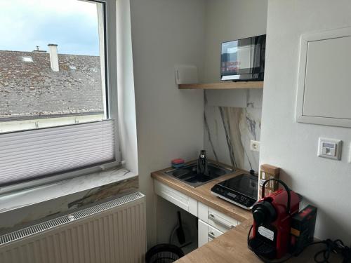 Кухня или мини-кухня в Gästehaus Pürgg
