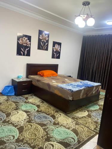 a bedroom with a bed and a carpet at Asyut Cozy Nile view apartment in Asyut