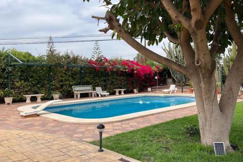 a swimming pool with benches and a tree at Villa Iluminada con chimenea, barbacoa y piscina cerca Playa in Elche