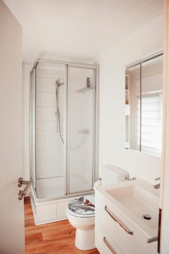 a bathroom with a shower and a toilet and a sink at Ferienwohnung "Helden" in Marklohe
