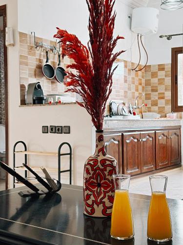 CHAY - Appartements a Ouarzazateにあるキッチンまたは簡易キッチン