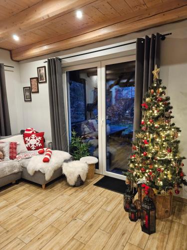 a living room with a christmas tree and a couch at Domek Drwala k. Karpacza in Sosnówka