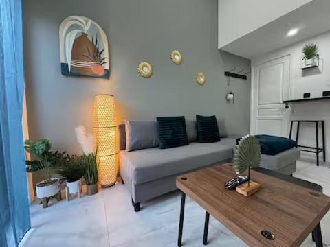 Flower power in Lyon neuf climatisé avec terrasse