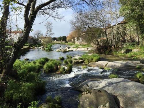 a stream of water with rocks and trees at Hotel A Ponte in Viana do Castelo