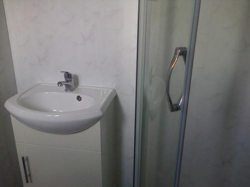 a bathroom with a sink and a shower at Lewinsdale Lodge in Weston-super-Mare