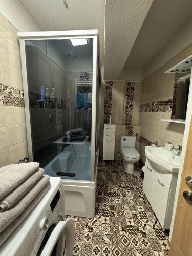 a bathroom with a shower and a sink and a toilet at Apartament RYO in Şelimbăr