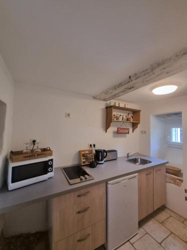 a small kitchen with a microwave and a sink at Chambre DURFORT in Sault-de-Vaucluse