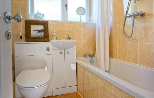 a bathroom with a toilet and a sink and a shower at Bardristane Forge in Gatehouse of Fleet