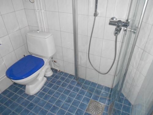 a bathroom with a shower and a toilet with a blue floor at Tornvillan in Hammarland