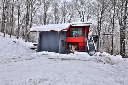 Whitetail Chalet home v zimě