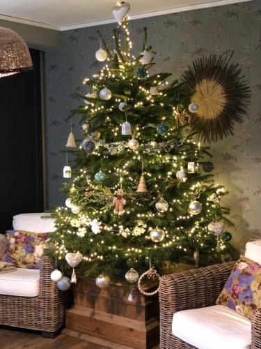 a christmas tree with lights in a living room at Hotel Les Embruns in Le Touquet-Paris-Plage