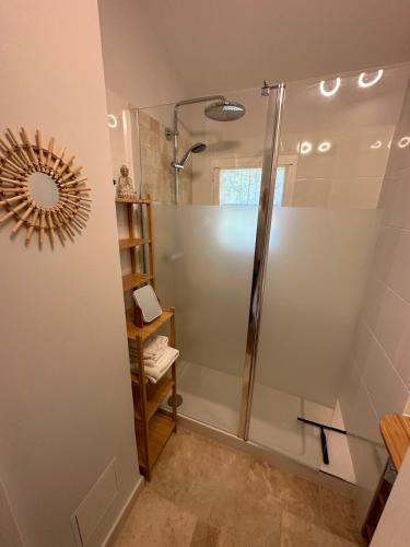 La salle de bains est pourvue d'une douche avec un miroir mural. dans l'établissement La Camargue Appartment mit Pool, à Aigues-Mortes