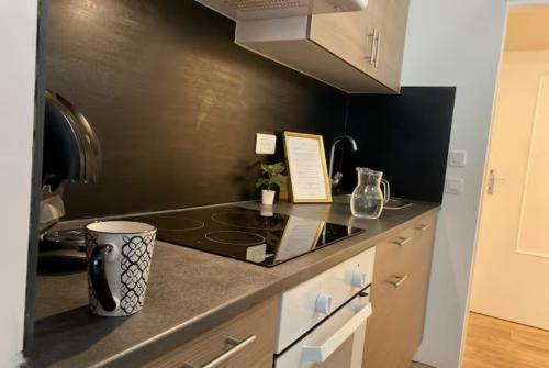 une cuisine avec une cuisinière et un comptoir dans l'établissement Le carmen - terrase - garage - clim, à Nîmes