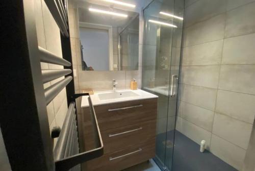 une salle de bain avec un lavabo et une douche en verre dans l'établissement Le carmen - terrase - garage - clim, à Nîmes