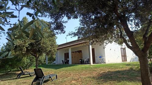 a white building with chairs in a yard at Agriturismo La tana della volpe in Alberese