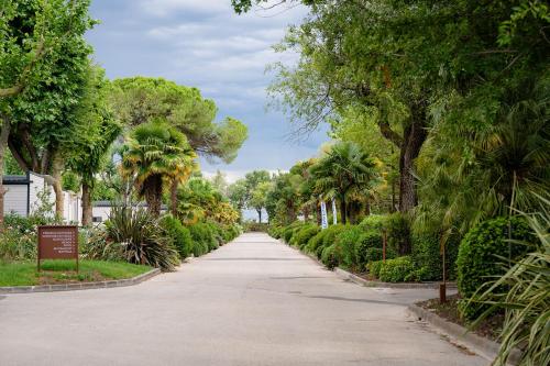 a long road with trees and plants in a park at Club del Sole Tenuta Primero Grado Family Collection in Grado